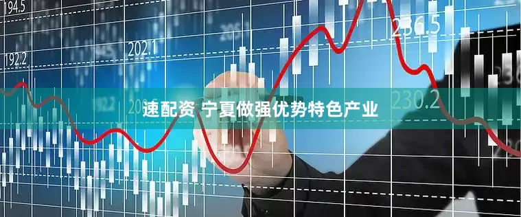速配资 宁夏做强优势特色产业