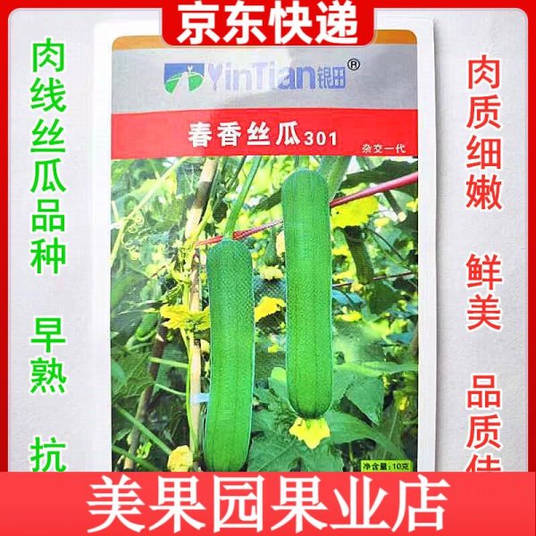 天戈资本 阳台种丝瓜全攻略：从种子到丰收的傻瓜式教程