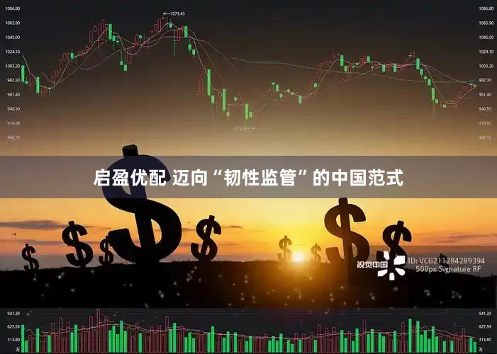 启盈优配 迈向“韧性监管”的中国范式